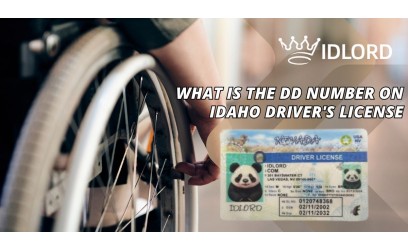 What is the DD Number on Idaho Driver's License