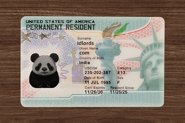 Realistic novelty ID card from Idlord