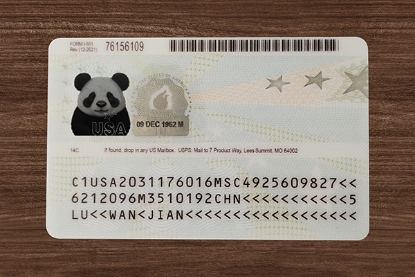 Step-by-step guide showing how to order a reliable scannable ID online safely