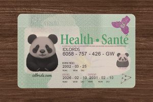 Novelty IDs Explained: Uses, Features & Legal Facts