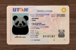 Novelty IDs Explained: Uses, Features & Legal Facts